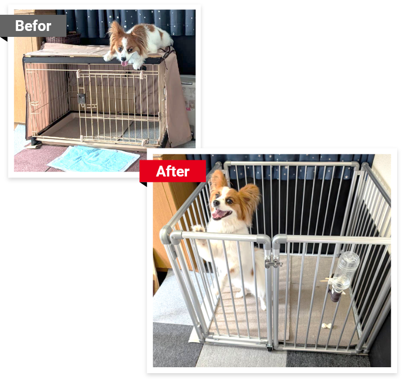 ワンちゃんの使用写真