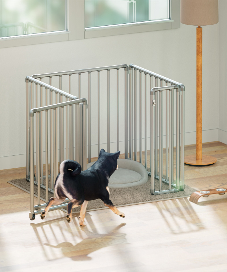 スタンダード（シルバー）ケージイメージ