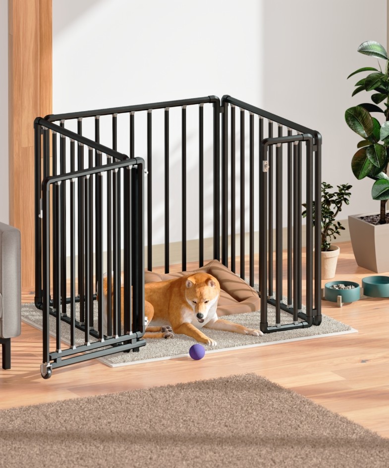 スタンダード（ブラック）ケージイメージ